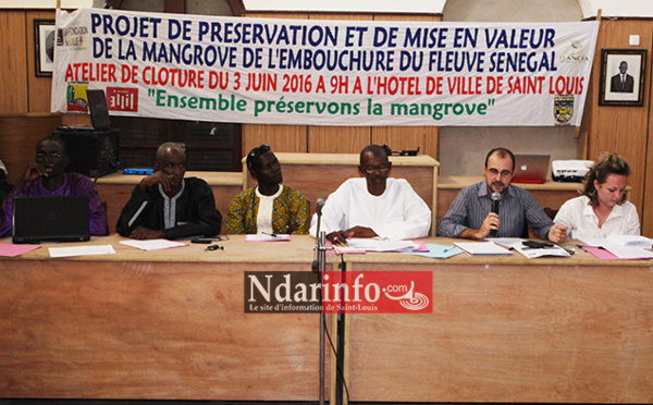 Saint-Louis : l’intercommunalité protège la Mangrove.