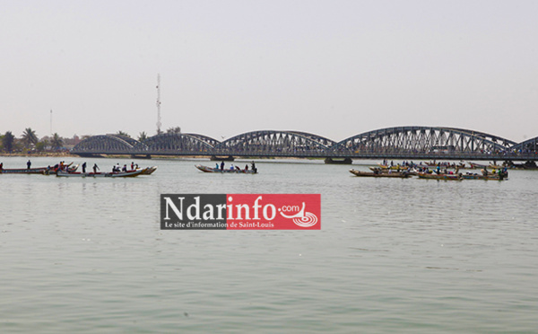 Saint-Louis : pourquoi cette nuée de pirogues sous le pont Faidherbe ?