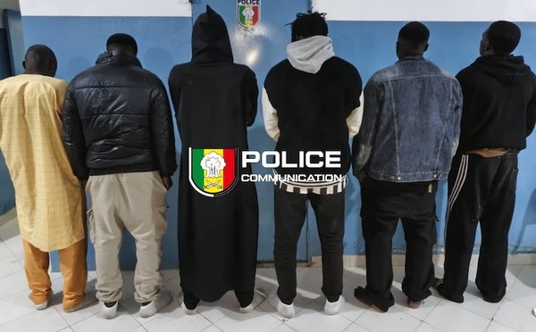 Saint-Louis : Six individus arrêtés pour abattage clandestin au foirail de Pikine