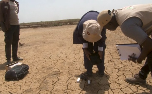 Saint-Louis : Enda Énergie au chevet des agriculteurs face au changement climatique