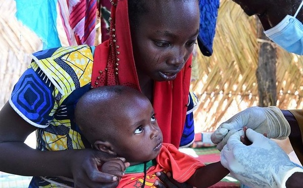 Paludisme : 47 pays déclarés exempts de la maladie selon le rapport 2026 de l'OMS