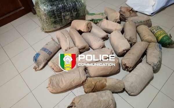 Thiaroye-sur-Mer : la BRS démantèle un réseau de trafic et saisit 41 kg de chanvre indien