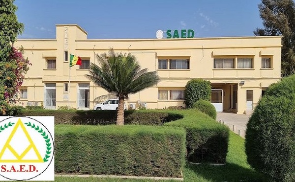 Saint-Louis : Le syndicat des travailleurs de la SAED dénonce un retard de paiement des avances de Tabaski