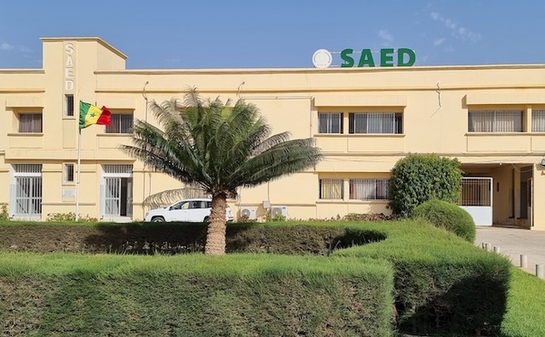 ERRATUM | SAED : le syndicat réclame le paiement des avances mais ne menace pas de grève