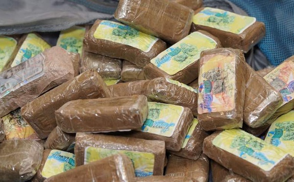 Karang : La Douane intercepte 3,5 kg de haschich d’une valeur de 17,5 millions FCFA