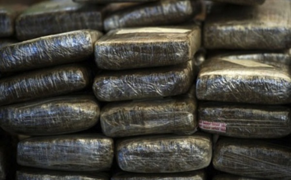 Louga : un réseau de trafiquants de drogue démantelé par la gendarmerie