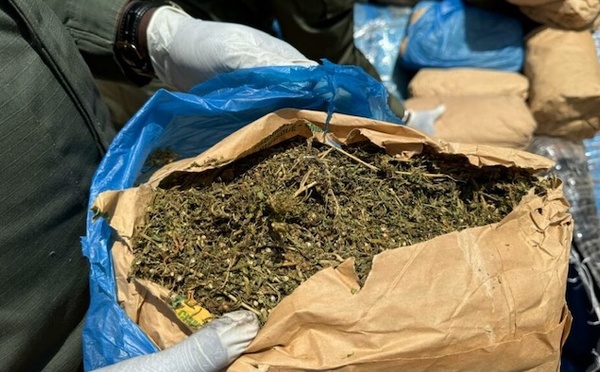 Lutte contre la drogue : Saisie de 63 kg de chanvre indien par la BRS de Fatick à Karang