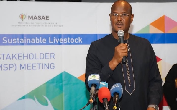 Souveraineté : Cheikh Oumar Ba mise sur l'élevage face au défi climatique