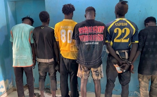 Diamniadio : Six trafiquants interpellés avec du Kush et du chanvre indien