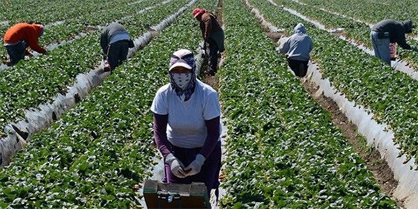 Immigration en Espagne : Un nouveau visa de 12 mois pour les chercheurs d'emploi