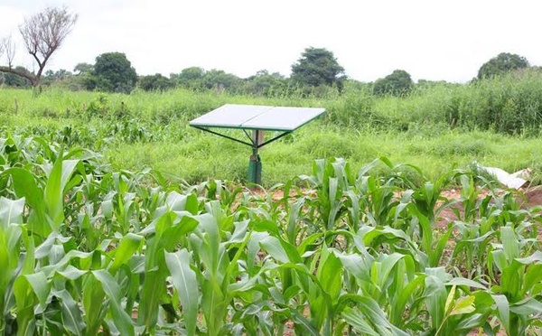 Agriculture : l'ENSA et le PRODAC signent une convention pour l'innovation et l'insertion des jeunes