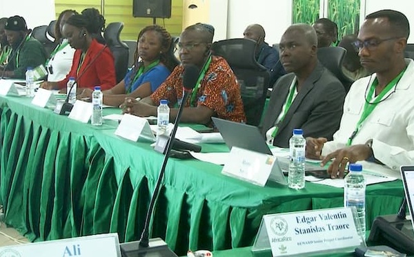 Saint-Louis : AfricaRice forme 14 pays aux bonnes pratiques rizicoles