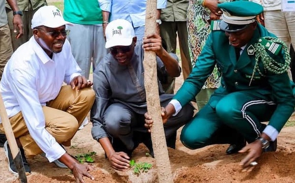 Reboisement : le Premier ministre lance la campagne nationale 2026 à Darou Salam