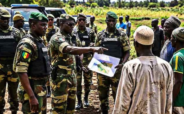 Sénégal-Gambie : les agriculteurs gambiens récupèrent leurs exploitations