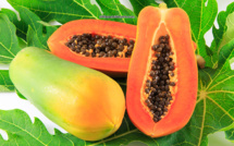 Les bienfaits de la papaye et de ses graines