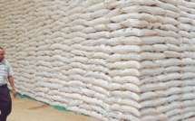 Richard Toll : 80 000 tonnes de sucre en souffrance à la Css