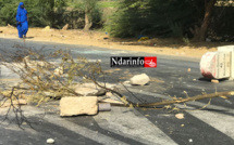 UGB : Affrontements entre étudiants et forces de l’ordre, ce matin ( photos )