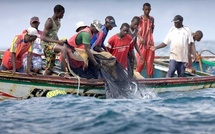 Gueth Ndar: 11 pêcheurs portés disparus après le chavirement de deux pirogues