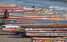 Pêche : 208 pirogues obtiennent leur autorisation