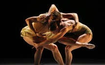 4e EDITION FESTIVAL INTERNATIONAL DUO SOLO DANSE: Saint-Louis va vibrer de sons et de spectacles