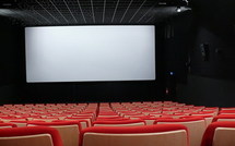 COMMUNIQUE: 11ème édition du Festival de Cinéma Image et Vie (FESTIV)