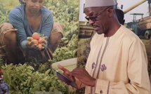 Le CV d'Aboubacry SOW, nouveau DG de la SAED