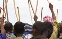 Podor : Un mort dans des affrontements entre agriculteurs et éleveurs