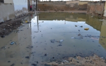Zones à risques d'inondation: Saint-Louis citée par La Météo sénégalaise