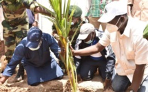 Campagne de Reboisement : Abdou Karim Sall attendu à Saint-Louis, jeudi