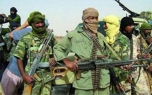 Operation Escadron Dunes de Sable:  La France soupçonnée.  Le Mali sauvé ?