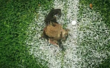 CHAN-2021: battu 0-1, le Zimbabwe accuse le Cameroun de sorcellerie