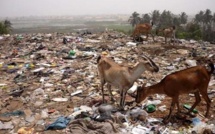 Le Centre d’Enfouissement Technique ou Centre d’Encombrement Technique de St Louis: Une « BOMBE » à retardement à Gandon ?