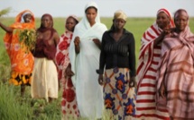 Malaise au sein de la Mutuelle d'épargne et de crédit de la Feprodes: Difficultés de recouvrer une dette globale de 400 millions