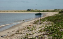 Environnement- Saint-Louis: A qui profite ce crime ?