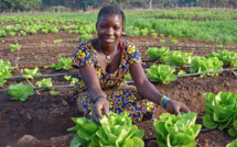 Miser sur l’irrigation et le pastoralisme pour transformer le Sahel.  (par  Makhtar Diop est vice-président de la Banque mondiale pour l’Afrique.)