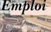 Un rapport fait état de 37.114 contrats de travail déclarés en 2012