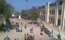 Saint-Louis: le lycée technique André Peytavin ouvre une filière agricole;