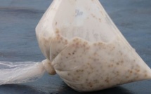 Saint-Louis – Pikine : ils cambriolent une boutique et tombent sur ça !