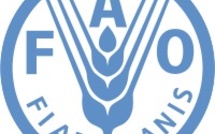 Un expert de la FAO insiste sur l'importance de l'approche éco systémique des pêches