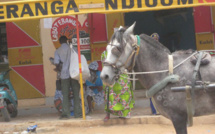 Le Mouvement des Jeunes  Républicains de  Ndioum renouvelle sa confiance à Dr Cheikh Oumar de l’APROSI
