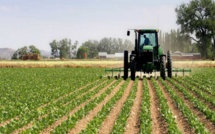 Sénégal : Plusieurs financements en faveur de l’agriculture.