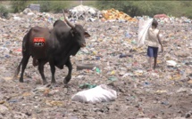 PHASE I DU PROMOGED : Un financement de 206 milliards FCFA pour 07 régions dont 30 milliards FCFA pour Saint-Louis