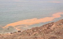 POLLUTION AU LARGE DES CÔTES SÉNÉGALAISES : Greenpeace Afrique demande au gouvernement de mettre à la disposition du public les résultats globaux de l’enquête