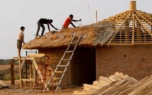Saint-Louis: Les premiers chaumiers du SÉNÉGAL à utiliser le typha!