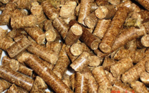 Aliment de bétail : 5.000 sacs de paille d’arachide offerts aux populations de Gnith et de Ronkh