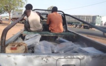 Retour sur la saisie rocambolesque de 80 kg de “Yamba“ à Koumpentoum.