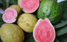 Découvrez les bienfaits miraculeux de la goyave