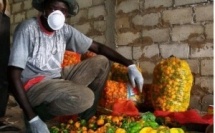 Saint-Louis : 120 jeunes formés à l'entrepreneuriat agricole.