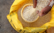 Retard dans la subvention destinée aux producteurs de riz de la vallée : Le président Macky Sall interpellé !