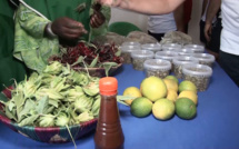 Saint-Louis : une ferme à Ndellé allie croissance économique et transformation sociale - vidéo